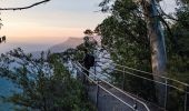 Man enjoying the sun rising over the Three Sisters from the Furber Steps-Scenic Railway walking track